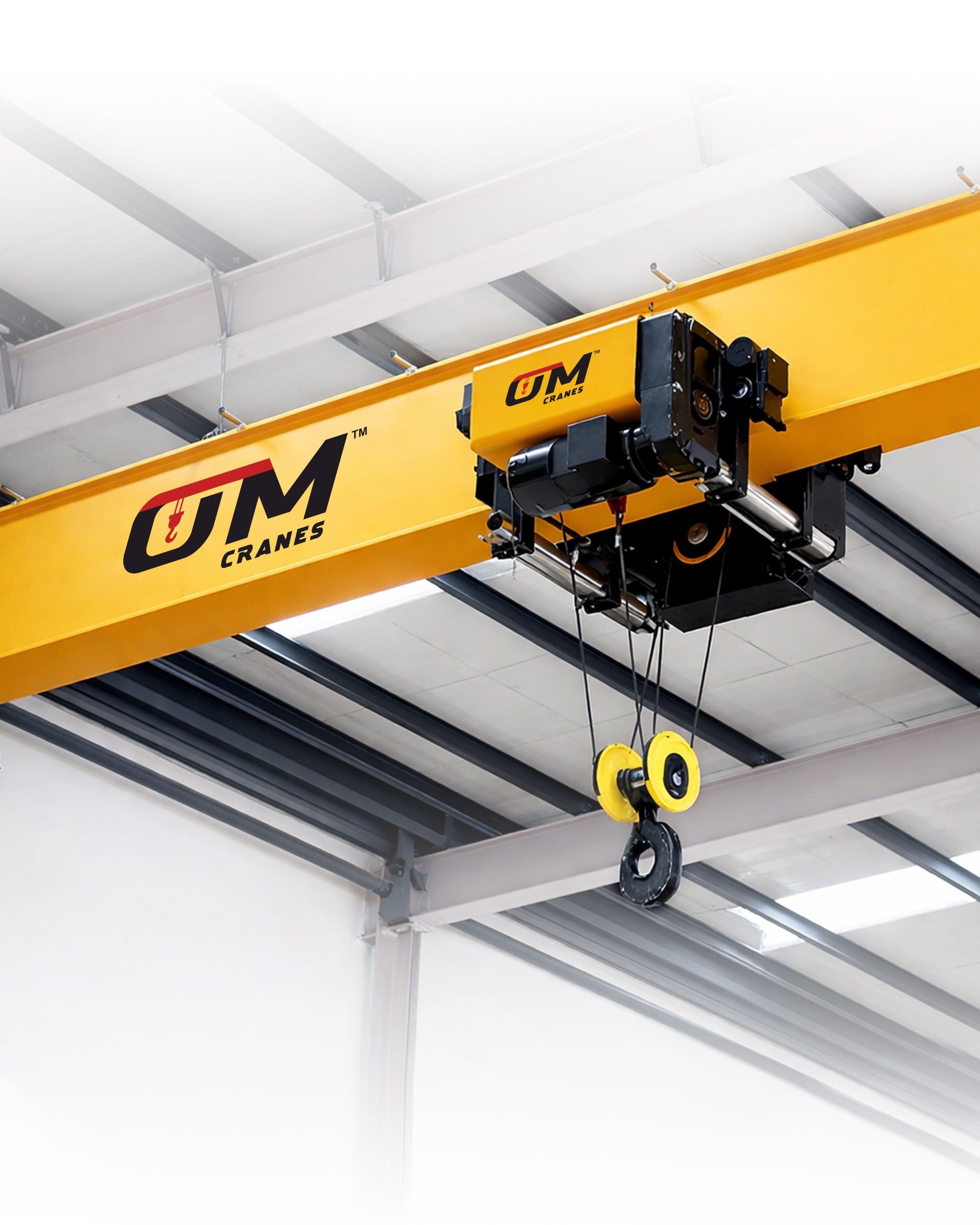 Om Industries crane manufacturing — OmCrane