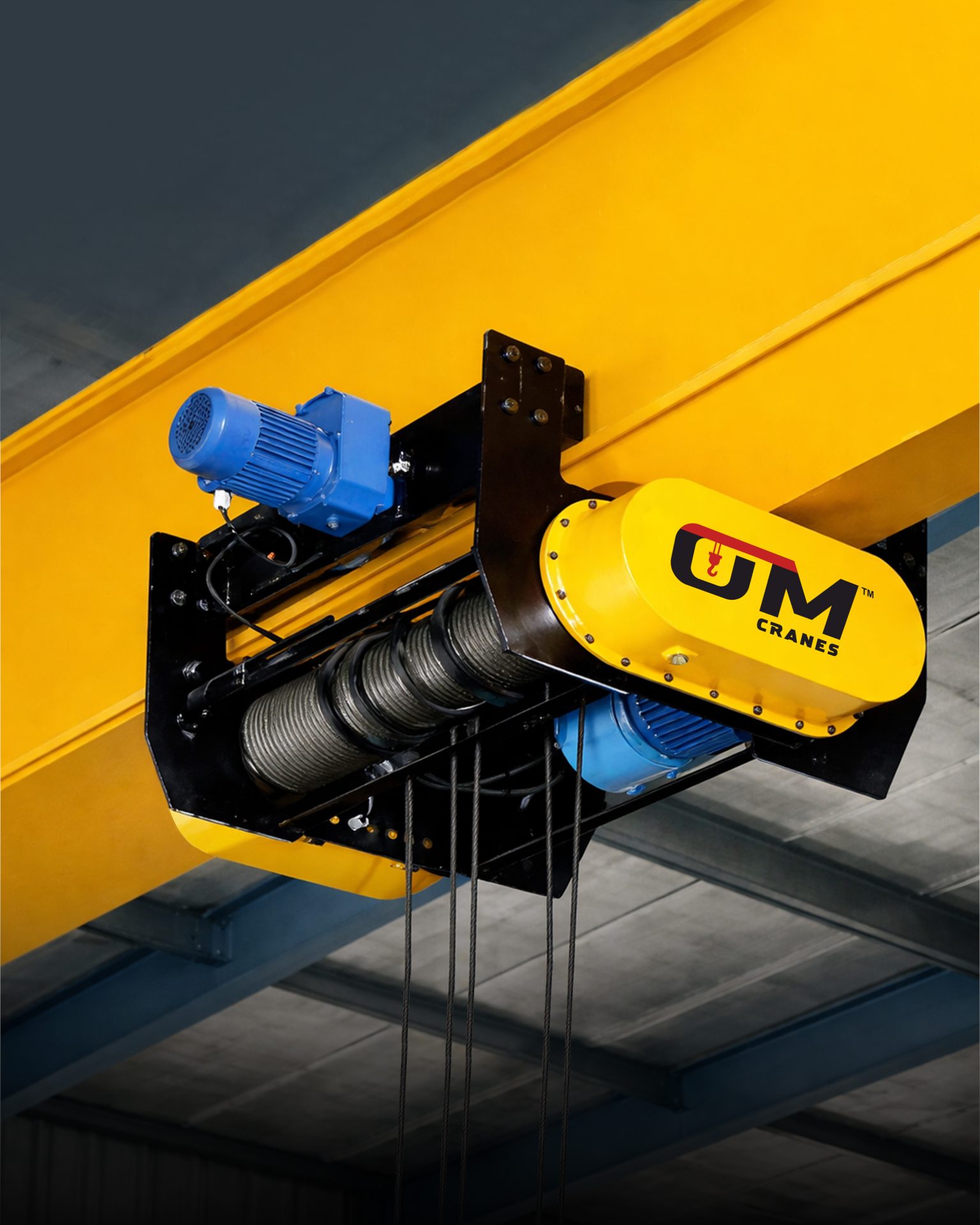 Choosing The Right Wire Rope Hoist For Industrial Lifting — OmCrane blog