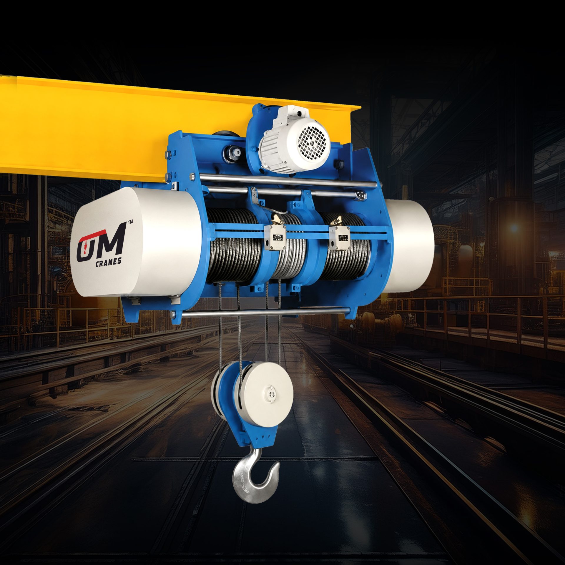Electric Wire Rope Hoist — OmCrane