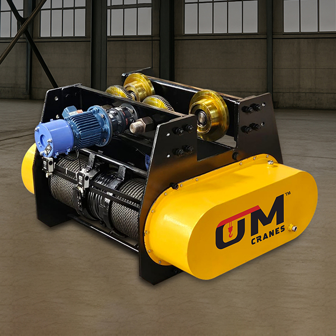 Electric Wire Rope Hoist — OmCrane