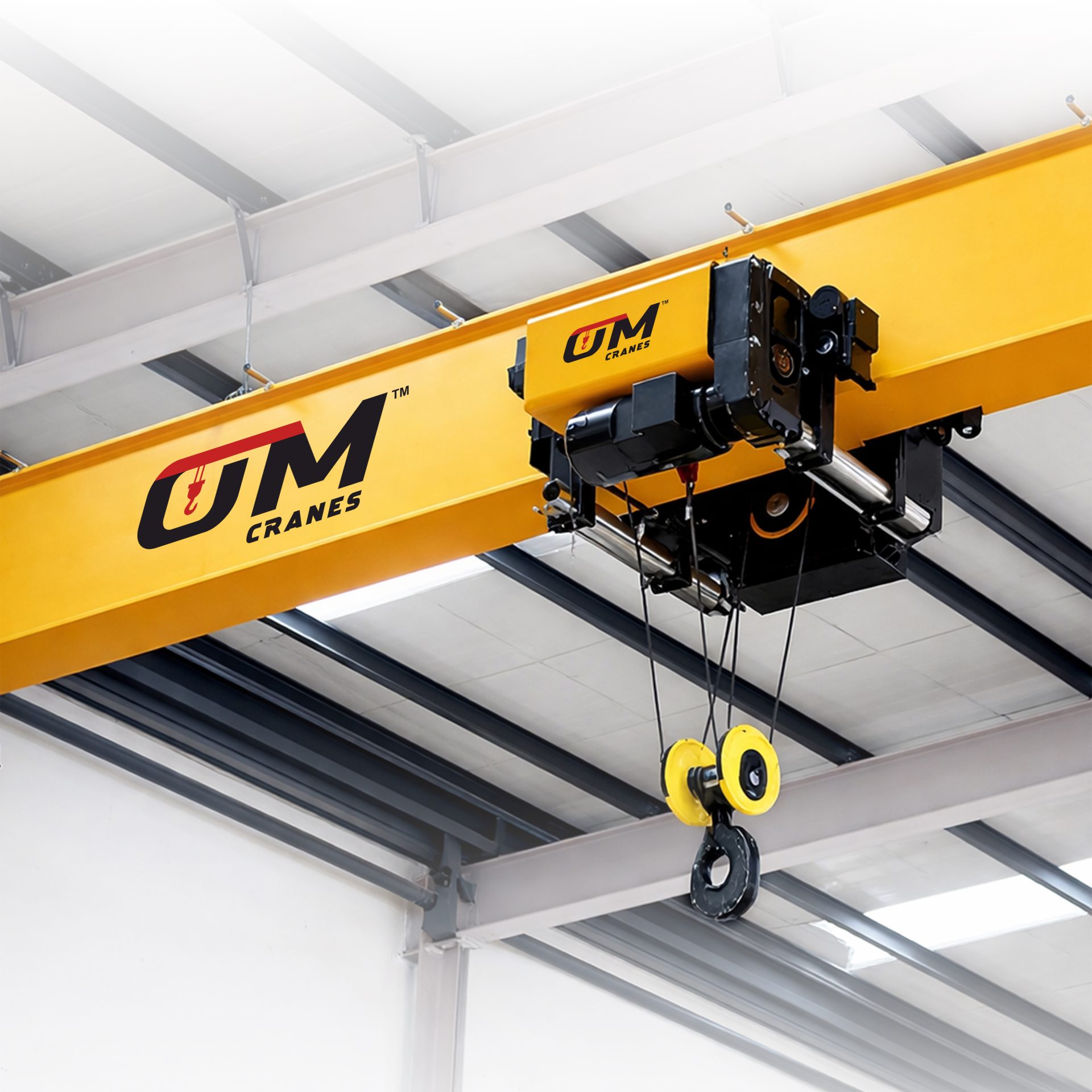 Single Girder EOT Crane — OmCrane